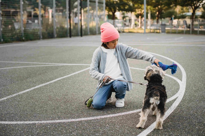 Frau trainiert mit Hund auf einem Sportplatz