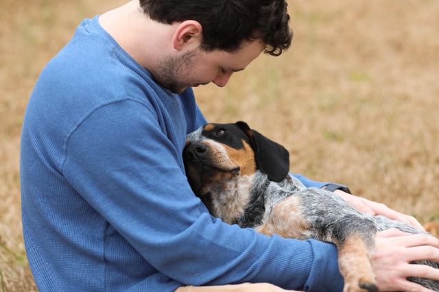 Hund liegt auf dem Schoß seines Besitzers
