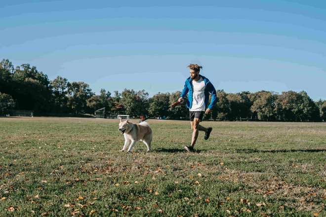 Hund wird draußen zur Leinenführigkeit erzogen