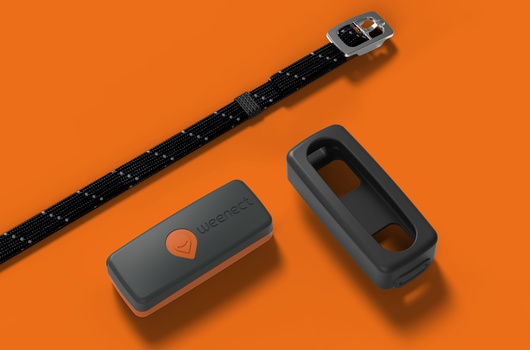 Weenect XS, le premier collier GPS garanti à vie ! L'outil ultime pour la  sécurité de nos animaux - Temavet