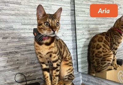 insiders-0724-ugc-aria