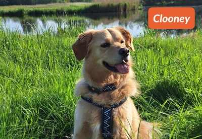 insiders-0724-ugc-clooney