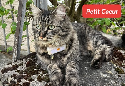 insiders-0724-ugc-petitcoeur