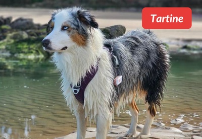 insiders-0724-ugc-tartine