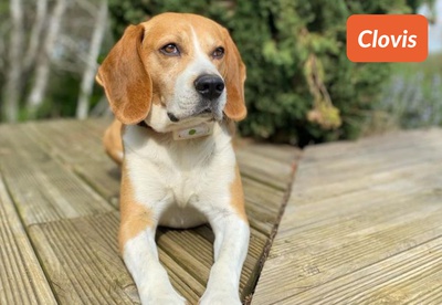 insiders 2305 ugc clovis