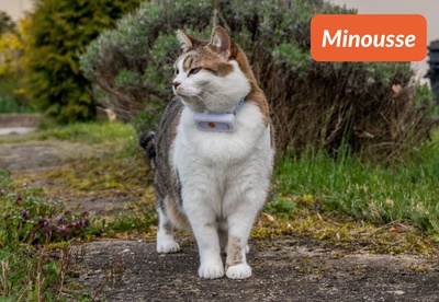 insiders 2303 ugc minousse