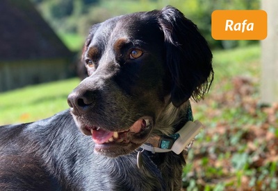 insiders-2303-ugc-rafa