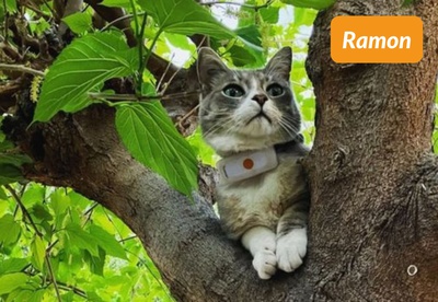 insiders 2305 ugc ramon