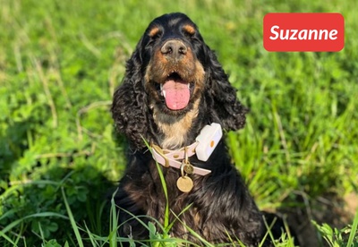 insiders 2303 ugc suzanne