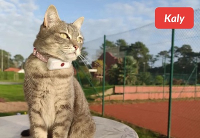 insiders-2309-ugc-kaly