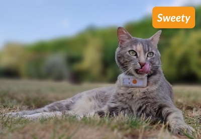 insiders-2309-ugc-sweety