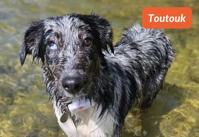 insiders-2309-ugc-toutouk