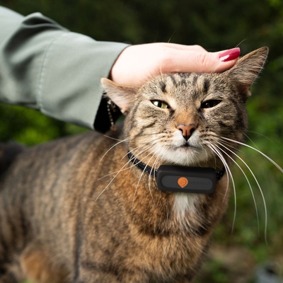 Comment fonctionne le traceur GPS pour chat ?
