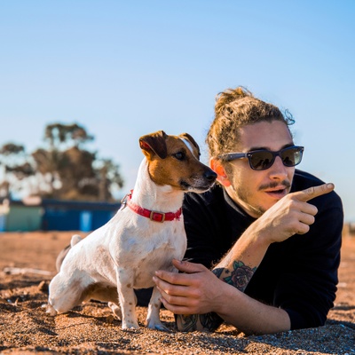 un jack russel a la mer, qui rejarde dans la direction que lui pointe son maitre