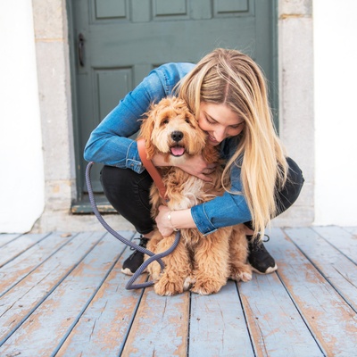 a Labradoodle receiving a hug from its owner