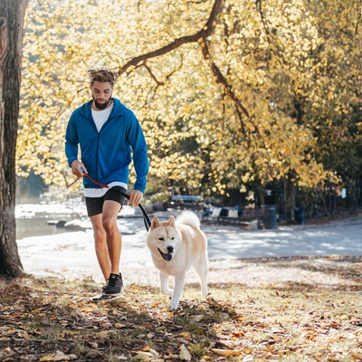 a West Siberian Laika in the forest with someone