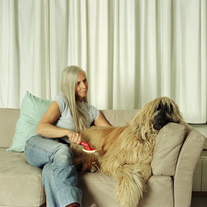an Afghan greyhound lying on a sofa next to his owner, who is brushing him