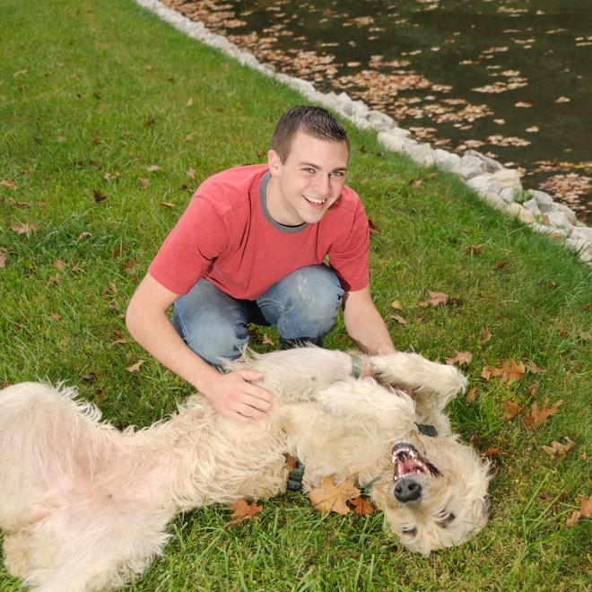 an Irish Wolfhound on its back being cuddled by its owner