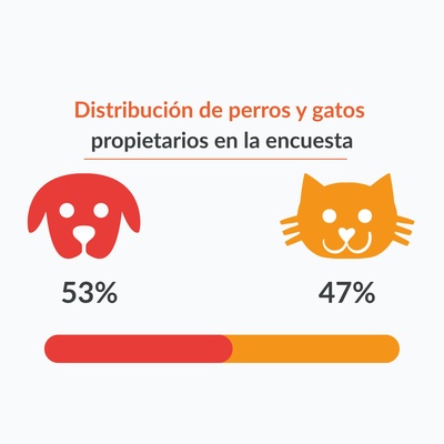 graphique illustrant les données au dessus