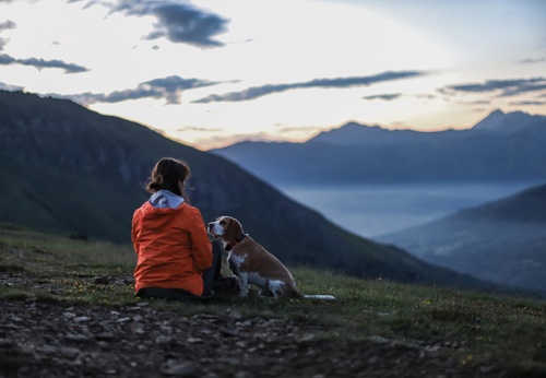 beagle und seine geliebte vor den bergen