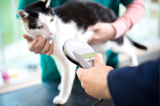 microchip