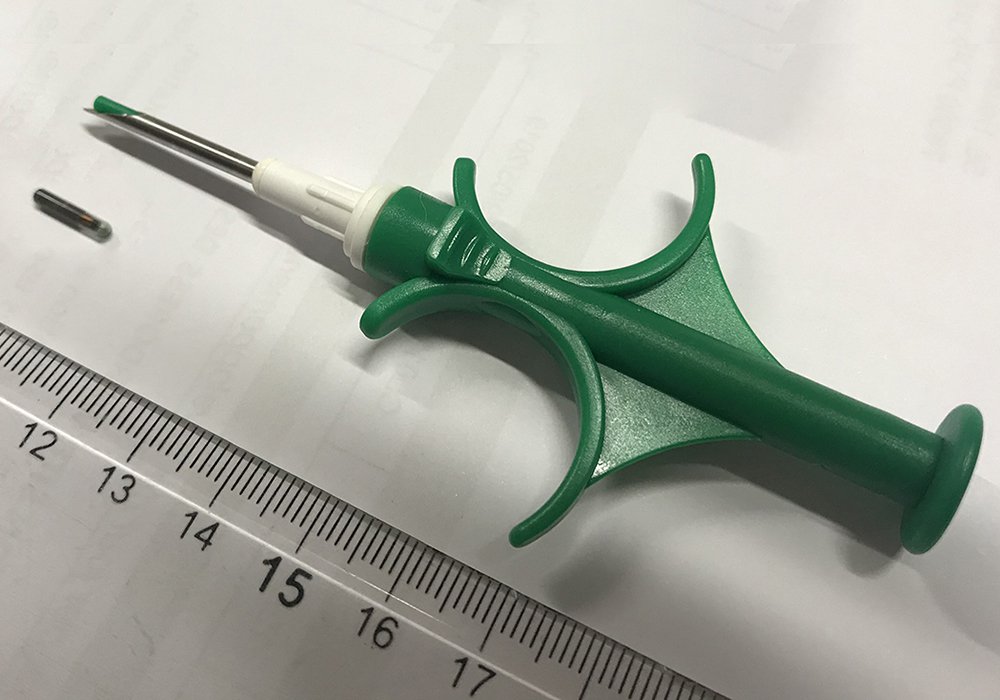 A microchip and its injection needle