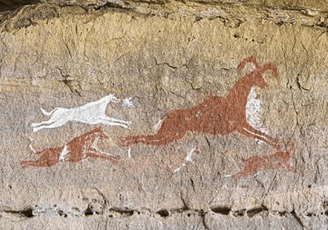 Peinture rupestre de chiens poursuivant une proie