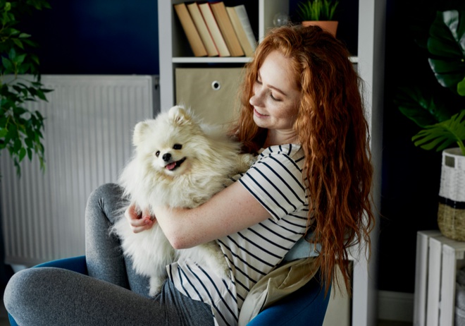 A pet with his owner sitting on a chair