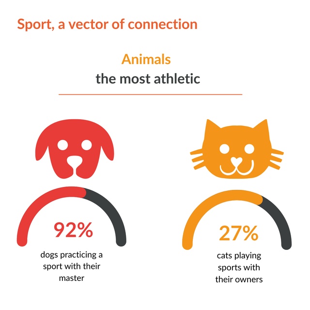 pet sport CP (Anglais)