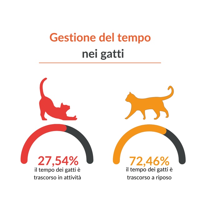 Schema che illustra i dati numerici del paragrafo precedente