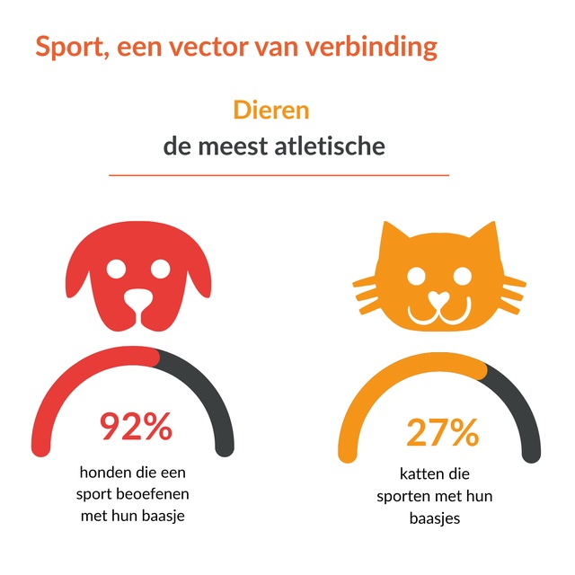 pet sport CP (Néerlandais)