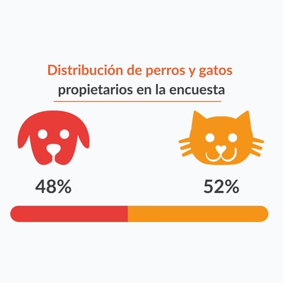 graphique illustrant les données ci-dessus