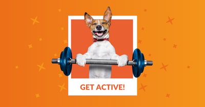 petsthatgoalittletoofar-getactive.png