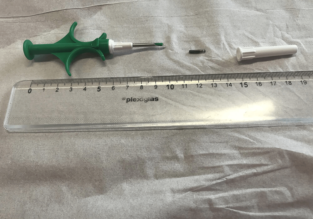 Puce d’identification avec la seringue d’injection
