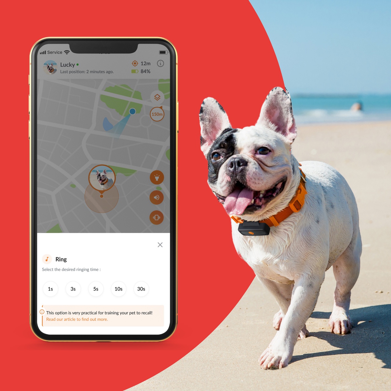 feature recall dogs xs