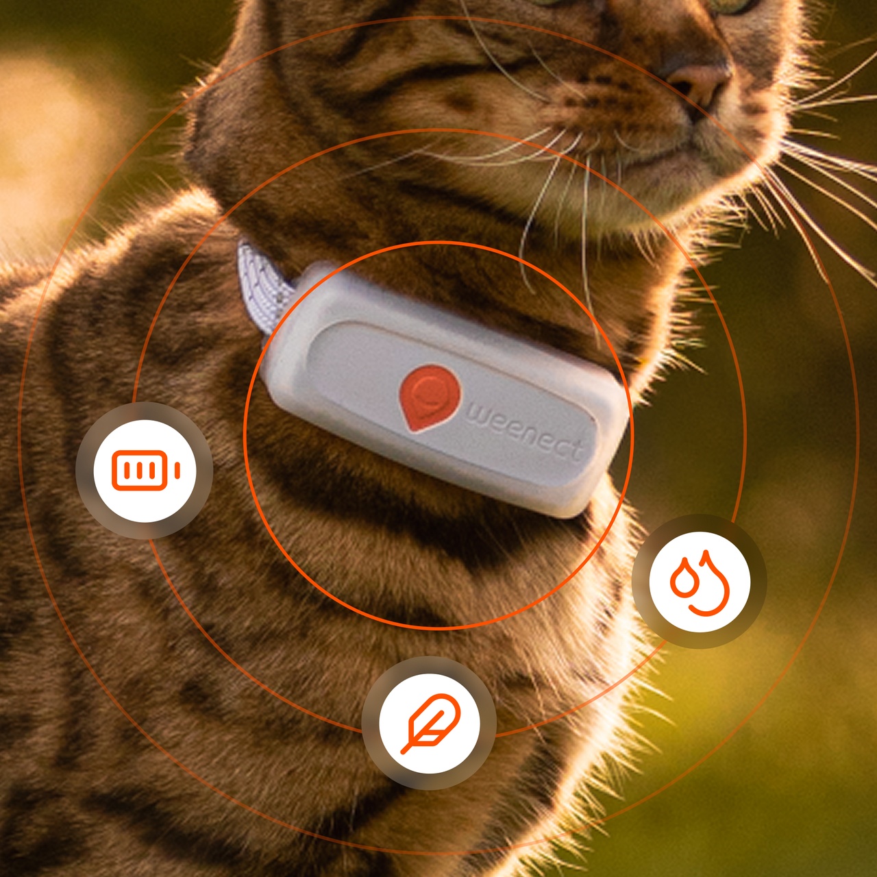 reliable weenect cat tracker