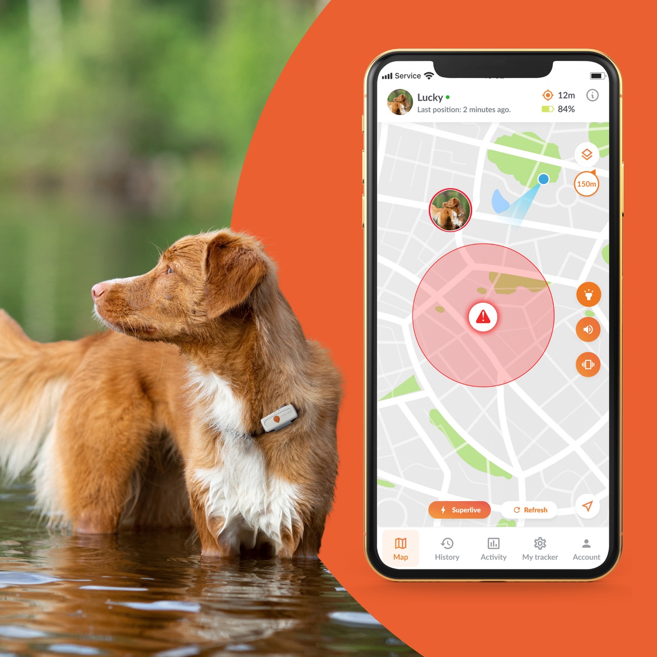 feature runaway dogs xs