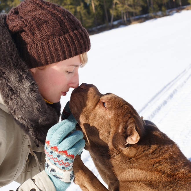 the shar pei's nose stuck to its mistress's in the snow