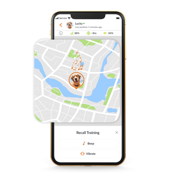 Weenect XS GPS Tracker Voor Hond Online Bestellen