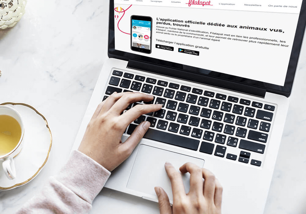 Un homme surfe sur le site Filalapat