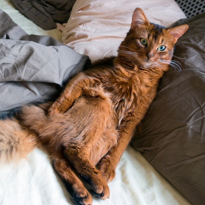 a somali lying down on his back on a bed