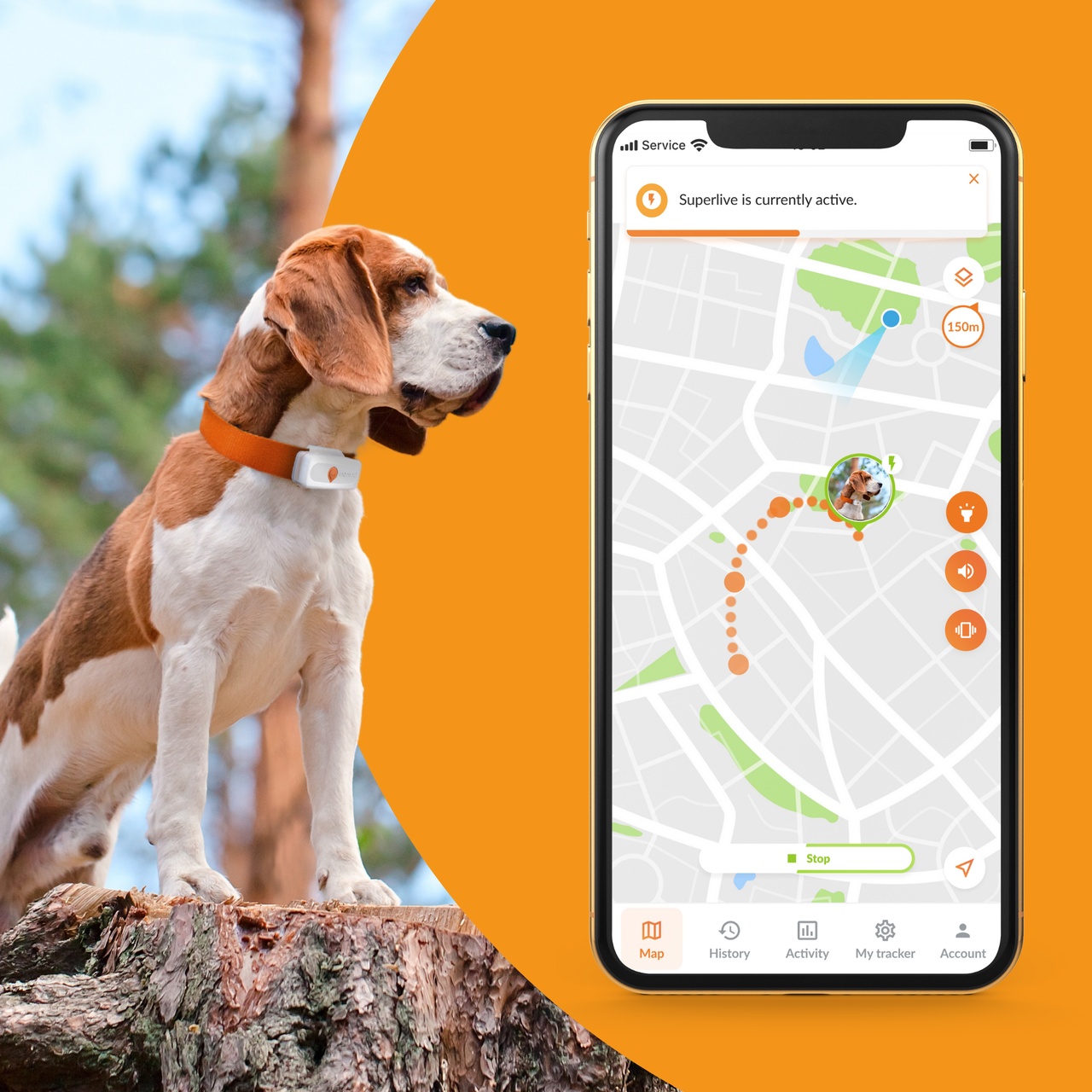 feature superlive dogs xs
