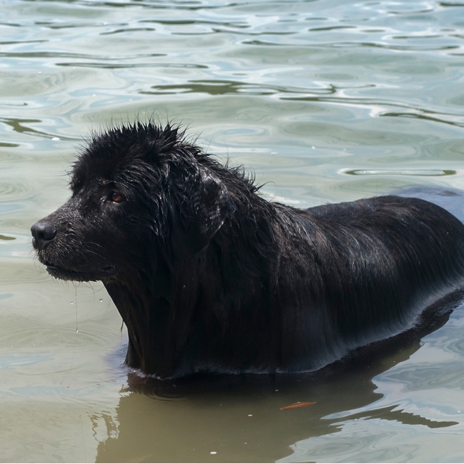 un terre neuve dans l'eau