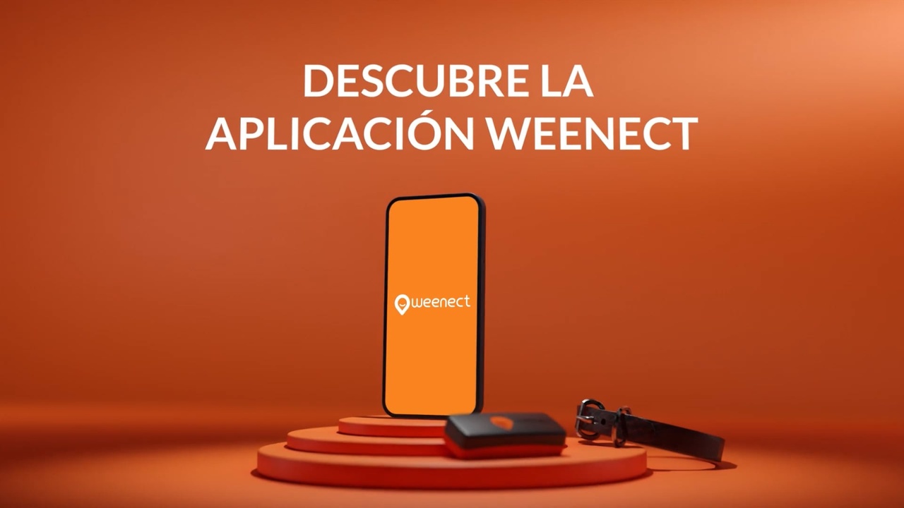 thumb-mobile-app-es