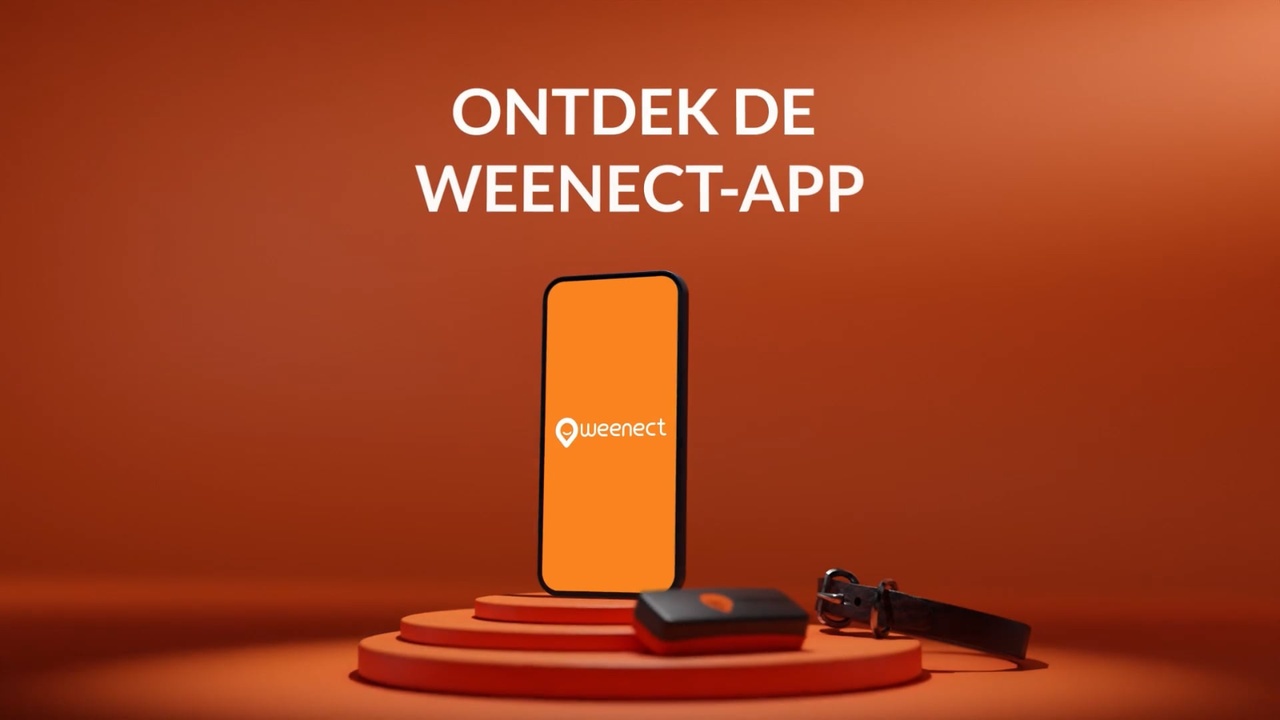 thumb-mobile-app-nl-169
