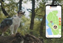 Collier GPS chien Weenect XS - Kokoonshop Vallauris