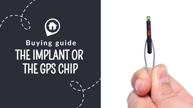 Implant or chip for cats and dogs, how choose?