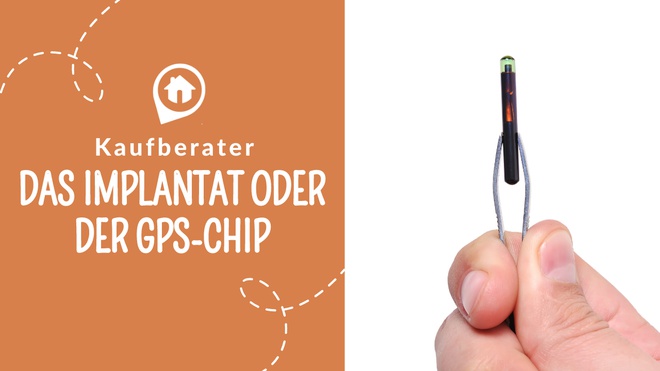 Implantat oder GPS Chip für Katzen und