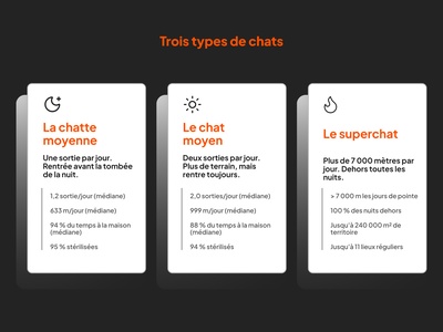 trois types de chats