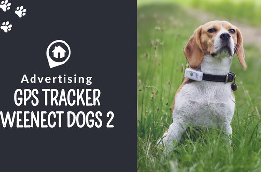Weenect dog tracker Outlet